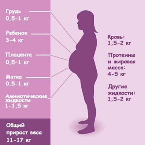 Рост живота при беременности по неделям в картинках у худых