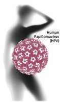 Вакцина гардасил в качестве защиты от папилломы и рака шейки матки