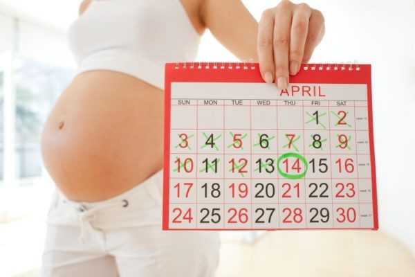 Беременная женщина держит календарь