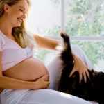 Беременная женщина гладит кошку
