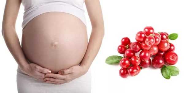 Беременная женщина поддерживает руками живот снизу, а рядом — гроздь красных ягод