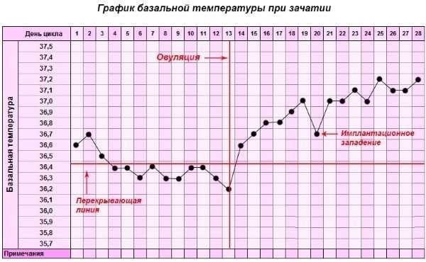 График базальной температуры при зачатии