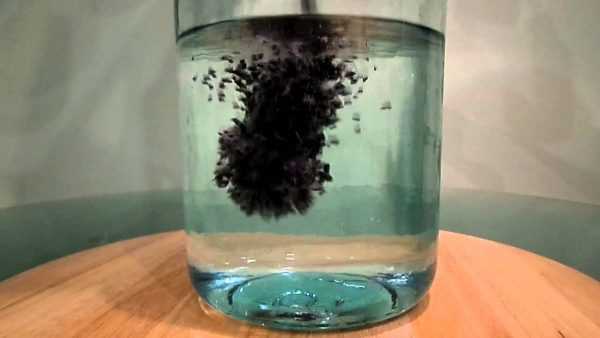 Измельчённый активированный уголь бросили в стакан с водой