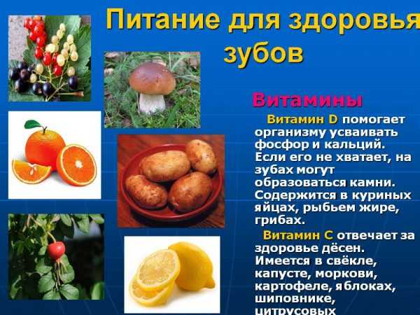 Продукты с витаминами D и C