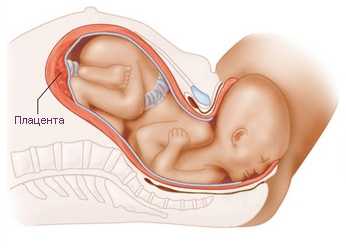 Положение плода в утробе на втором этапе родов