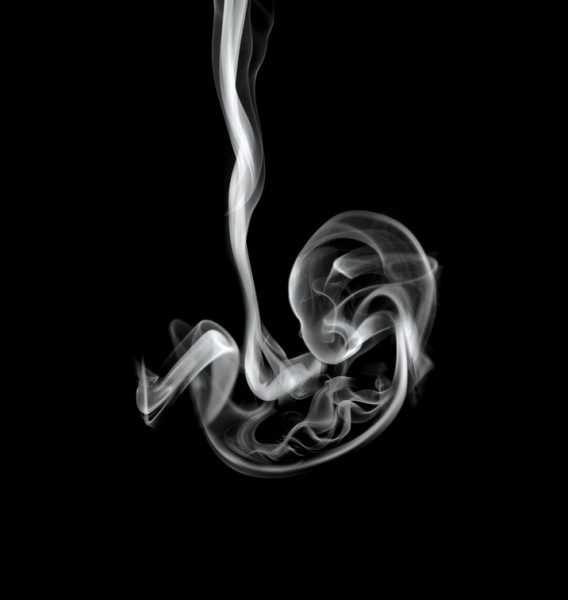 ребенок в утробе из дыма