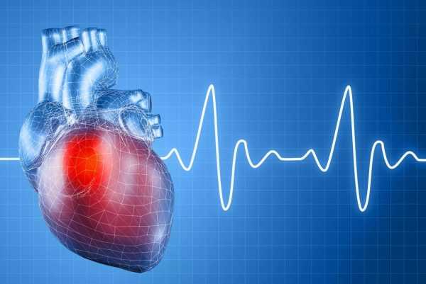 Сердце и схема кардиограммы