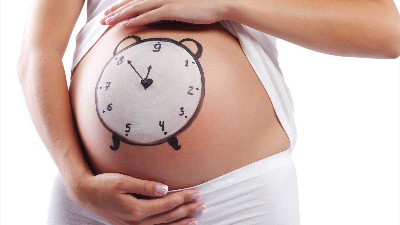срок беременности