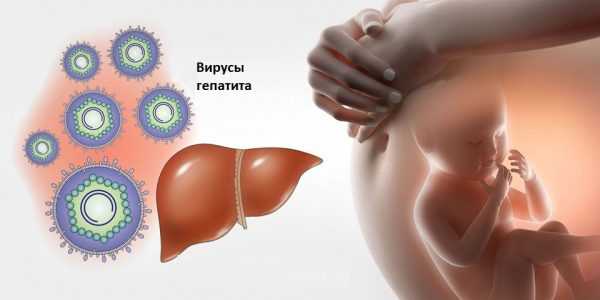 Вирусы гепатита, печень и живот беременной женщины с плодом внутри